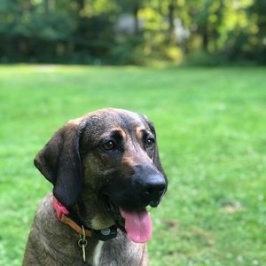 Meet your Posher, Maxine